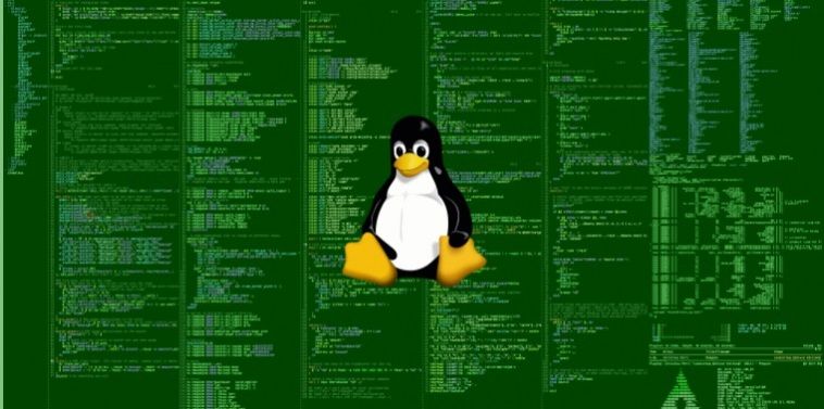 Ransomware Erebus para Linux: su impacto en servidores y contramedidas