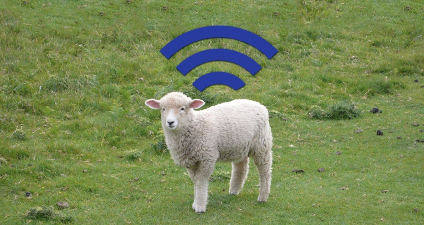 La paz de la naturaleza... cuando no hay WiFi