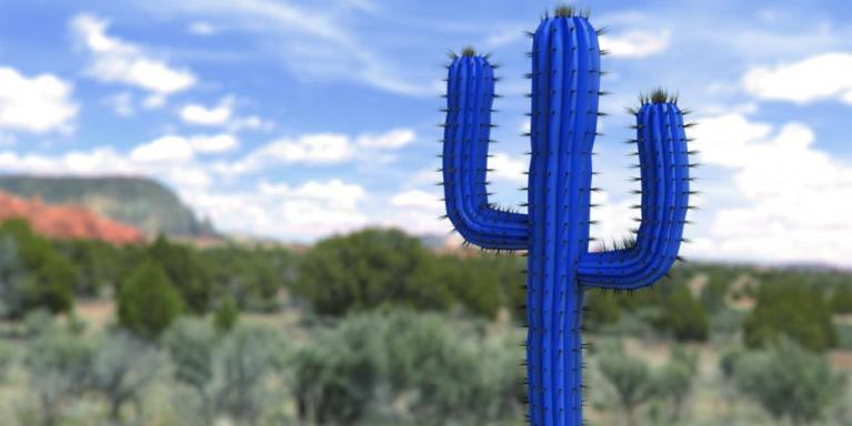 El Concepto Cactus de Mobotix, iniciativa de concienciación en la ciberseguridad de la videovigilancia