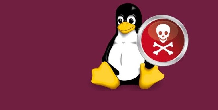 Descubiertas 12 nuevas puertas traseras desconocidas en Linux