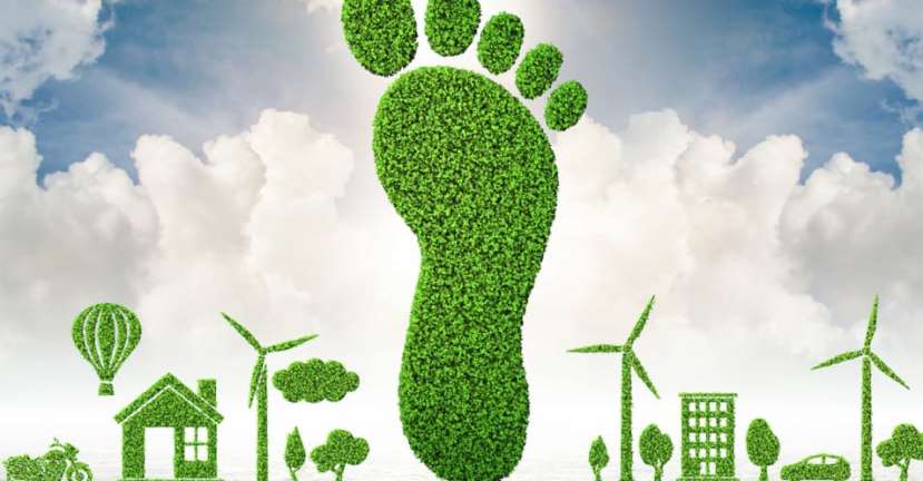 Aplicación de SAP para medir la huella de carbono y rediseñar la sostenibilidad de las empresas