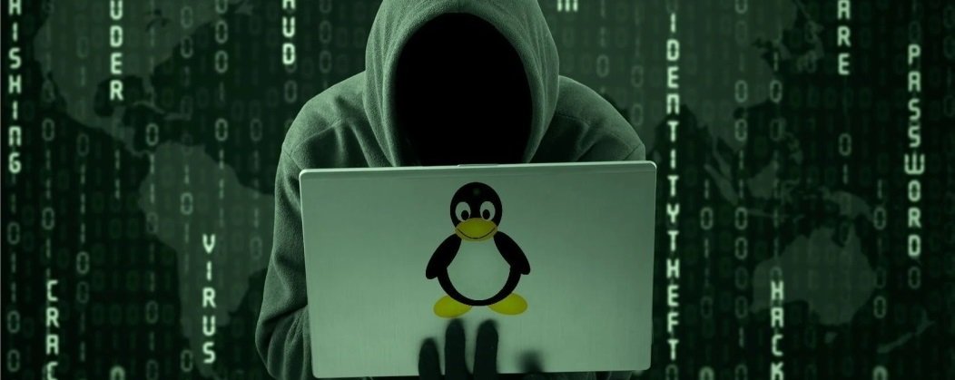 Los ciberdelincuentes asaltan sistemas Linux