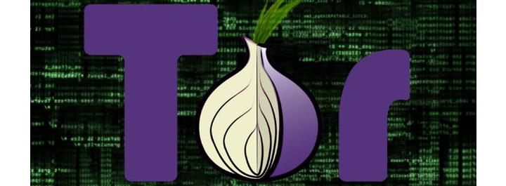 La Europol y el FBI vuelven a cerrar Silk Road, oculto en la red Tor