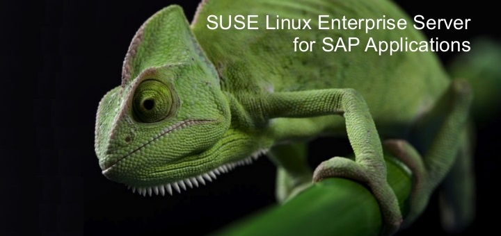 SUSE Linux Enterprise Server for SAP Applications ya está disponible en Amazon Web Services