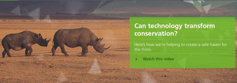 Dimension Data y Cisco anuncian proyecto para proteger a los rinocerontes mediante el seguimiento de personas