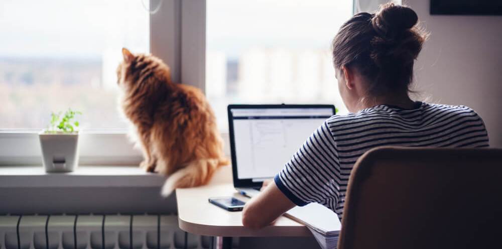 Teletrabajo sí, pero con ciberseguridad