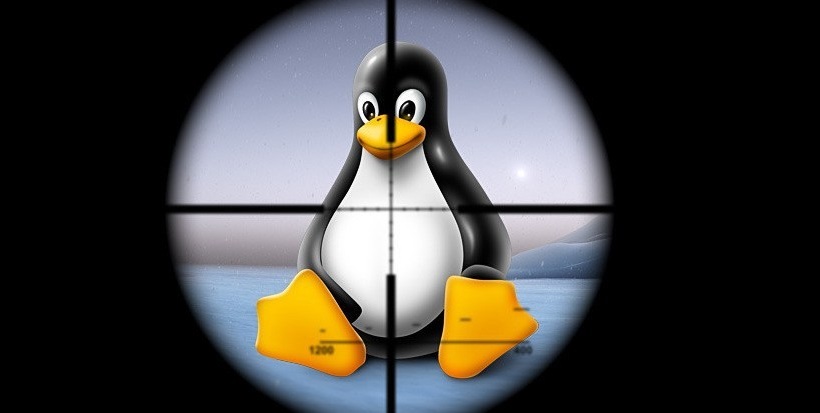 APT en servidores Linux