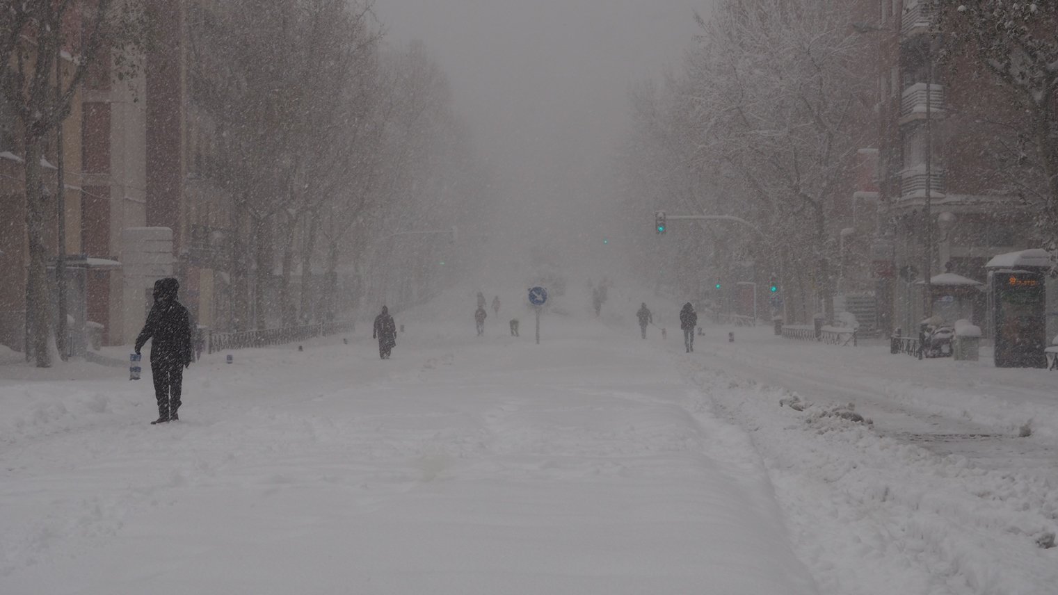 Internet y ecología