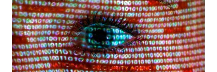 Directivos de Google y Microsoft creen que el espionaje de estado podría acabar con Internet