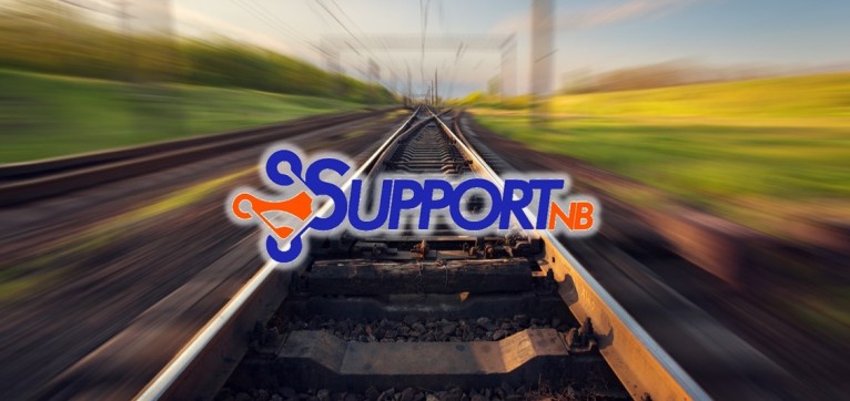 Support NB ofrece consultoría remota SAP a bajo costo